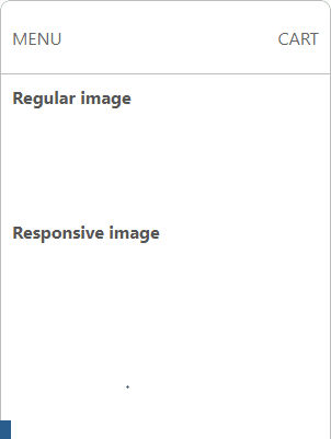 responsive image